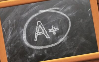 Are You Focusing on the A or the F? Make the Most of Your Team’s Strengths