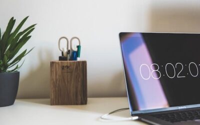 Effective Leadership for Work-from-Home Employees and Virtual Teams