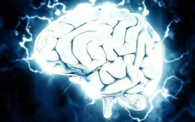 How the Science of Neuroplasticity Can Help Your Employees Thrive