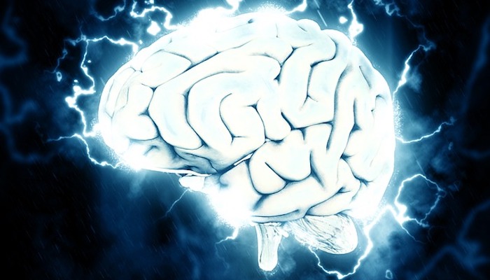 How the Science of Neuroplasticity Can Help Your Employees Thrive