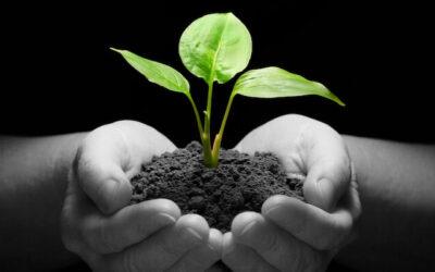 5 Ways to Invest In Yourself