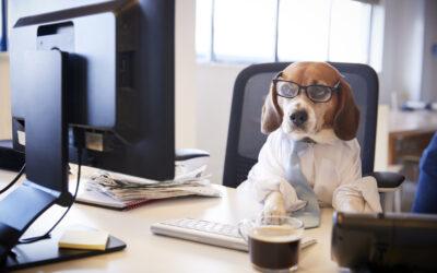 Is Your Marketing Going to the Dogs?