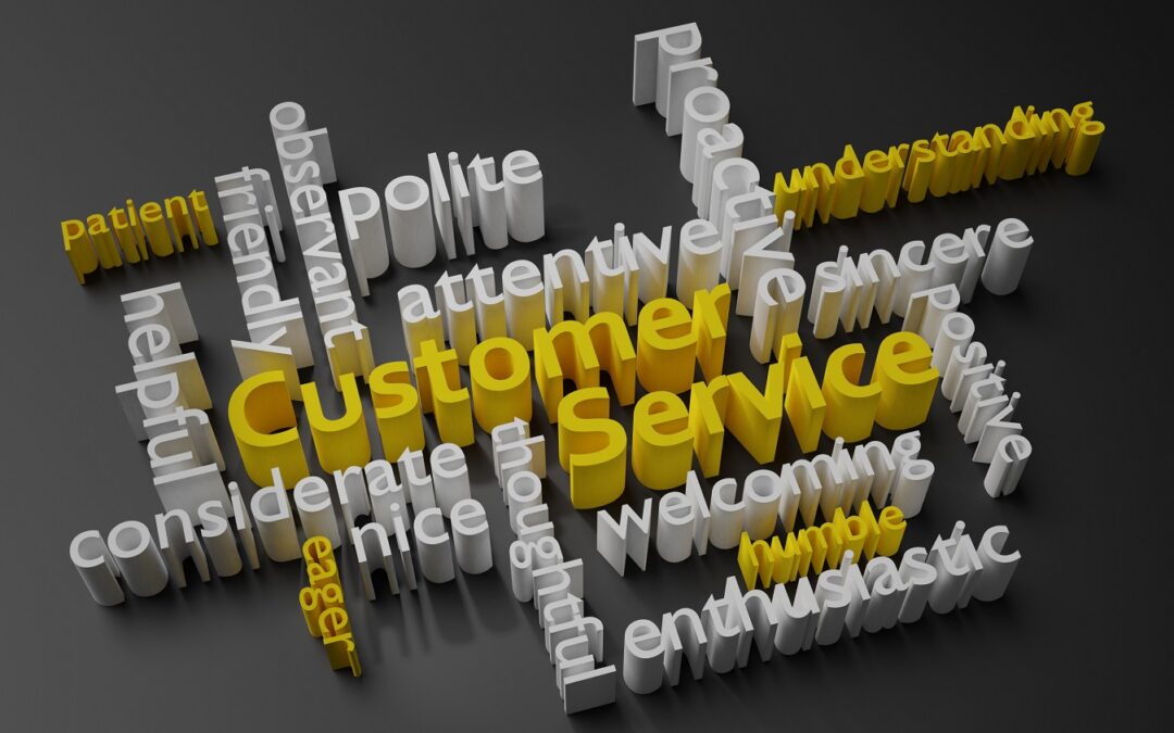 Enhancing Customer Service and Follow-up for an Overwhelmed Sales Representative